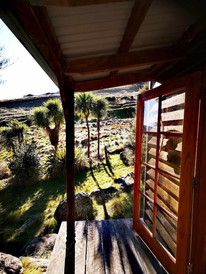 Manaaki Mai, Rustic Retreat Bush Cabin クライストチャーチ エクステリア 写真
