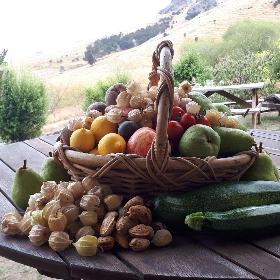 Manaaki Mai, Rustic Retreat Bush Cabin クライストチャーチ エクステリア 写真