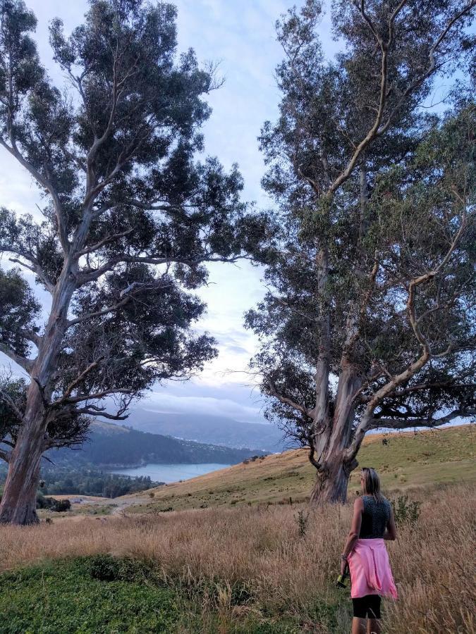 Manaaki Mai, Rustic Retreat Bush Cabin クライストチャーチ エクステリア 写真